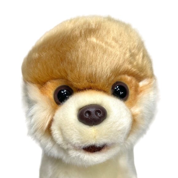 GUND Boo The World’s Cutest Dog Pomeranian Plush - Picture 2 of 13